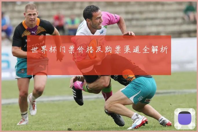 世界杯门票价格及购票渠道全解析