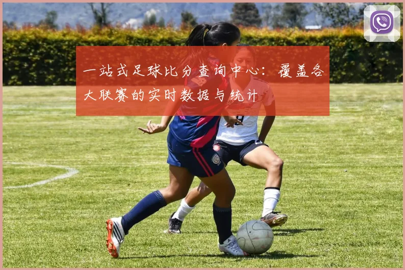一站式足球比分查询中心：覆盖各大联赛的实时数据与统计